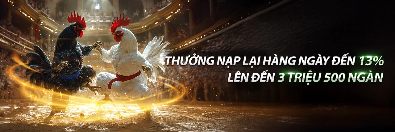 Hình ảnh đá gà trực tuyến đỉnh cao tại vi84 win